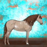 Horse Color:Red Dun