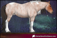 Horse Color:Bay Roan Tobiano