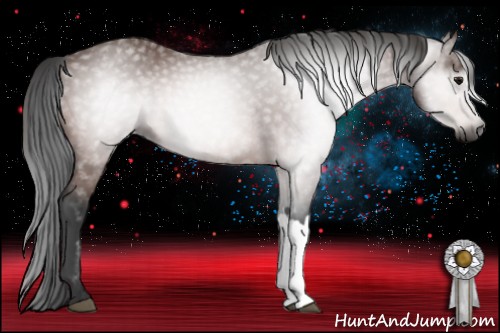 Horse Color:Gray Bay 