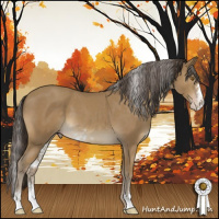 Horse Color:Classic Cream Champagne Sabino Rabicano