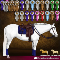 Horse Color:Gray Gold Cream Champagne Sabino Appaloosa Rabicano