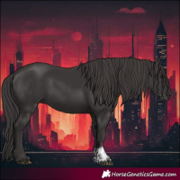 Horse Color:Smoky Black and Smoky Black