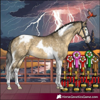 Horse Color:Buckskin Dun Mushroom Splash Tobiano Appaloosa 