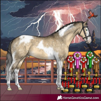 Horse Color:Buckskin Dun Mushroom Splash Tobiano Appaloosa 