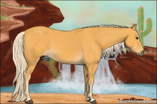 Horse Color:Palomino 