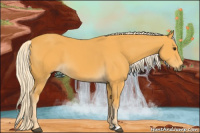 Horse Color:Palomino