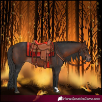 Horse Color:Brown 