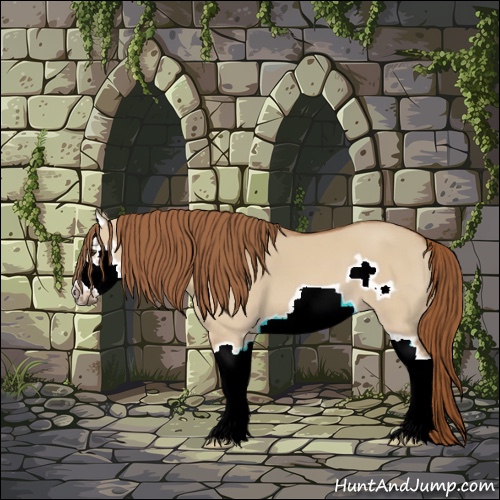 Horse Color:Red Dun Splash Frame 