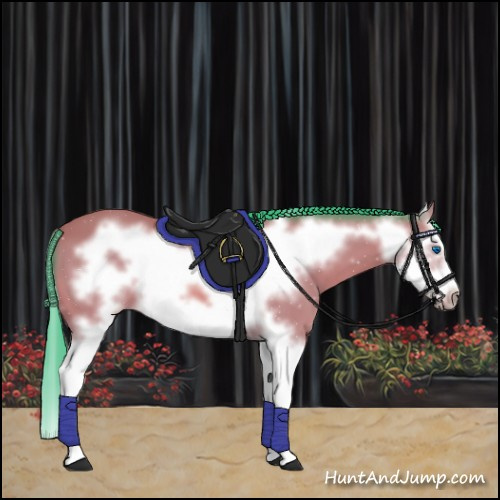 Horse Color:Watercolor Bay Splash Frame 