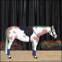 Horse Color:Watercolor Bay Splash Frame 