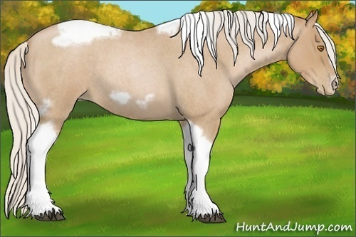 Horse Color:Silver Blue Roan Pearl Tobiano Frame
