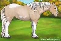 Horse Color:Silver Blue Roan Pearl Tobiano Frame