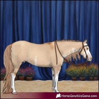 Horse Color:Gray White Spotted Gold Champagne Dun