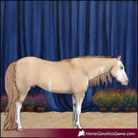 Horse Color:Gray White Spotted Gold Champagne Dun