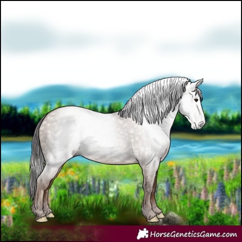Horse Color:Gray Classic Champagne 