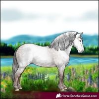 Horse Color:Gray Classic Champagne 