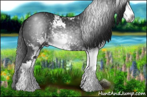 Horse Color:Gray Black Sabino 