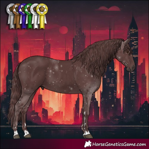 Horse Color:Chocolate Black 