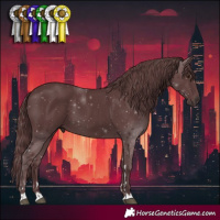 Horse Color:Chocolate Black 