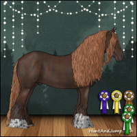 Horse Color:Liver Chestnut  and Liver Chestnut 