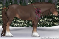 Horse Color:Liver Chestnut  and Liver Chestnut 