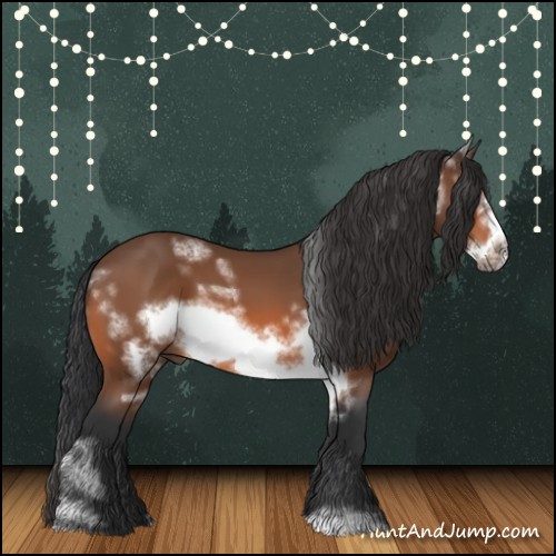 Horse Color:White Spotted Bay Frame 