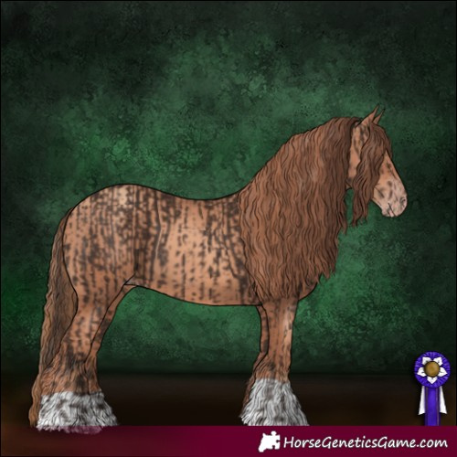 Horse Color:Liver Chestnut  and Gold Champagne 