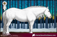 Horse Color:Blue Roan Snowflake Varnish