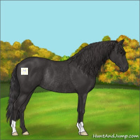Horse Color:Smoky Black Rabicano 