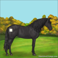 Horse Color:Smoky Black 