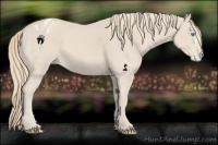 Horse Color:Smoky Creme Blanket 