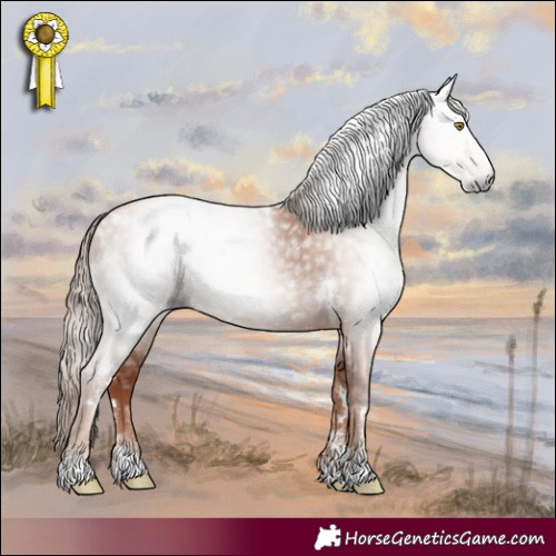 Horse Color:Gray White Spotted Gold Champagne Rabicano 