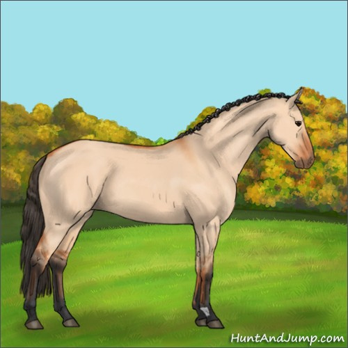 Horse Color:Bay Dun