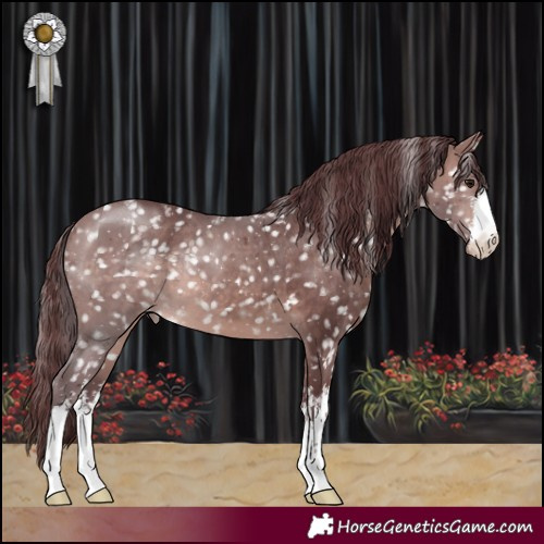 Horse Color:Platinum White Spotted Chocolate Brown Snowflake Varnish 