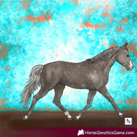 Horse Color:Silver Black Splash