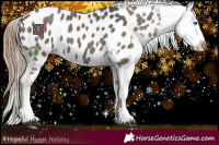 Horse Color:Smoky Grullo Splash Appaloosa 