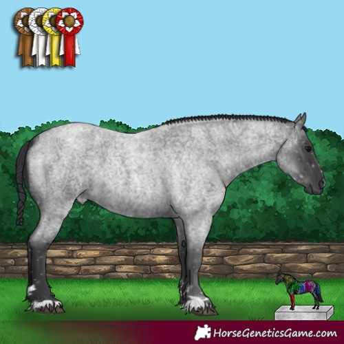 Horse Color:Blue Roan 