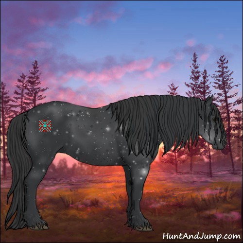 Horse Color:Black 