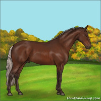 Horse Color:Silver Brown 