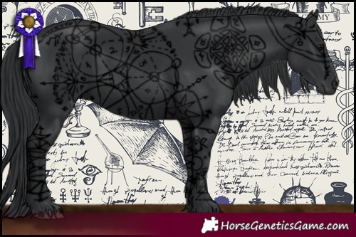 Horse Color:Black 