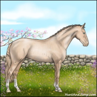 Horse Color:Gold Champagne Pearl Rabicano  and Gold Champagne Pearl Rabicano 