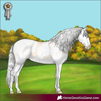 Horse Color:Cremello Splash  and Cremello Splash 