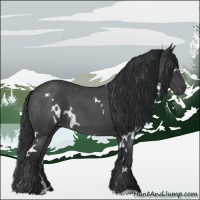 Horse Color:White Spotted Blue Roan 