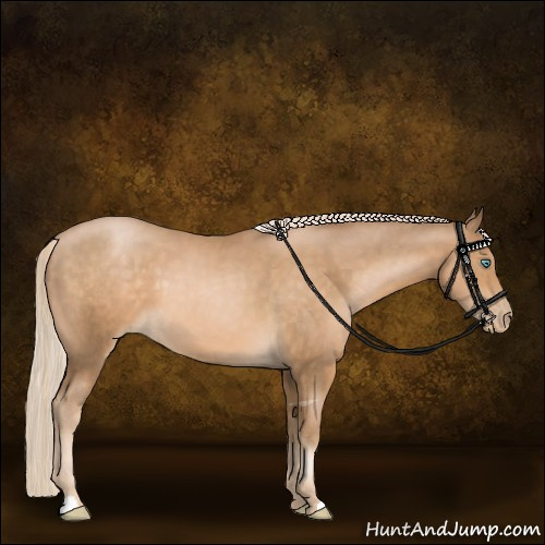 Horse Color:Chocolate Palomino Pearl 