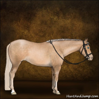 Horse Color:Chocolate Palomino Pearl