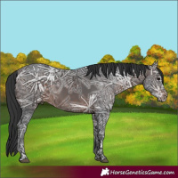 Horse Color:Brown Ice 