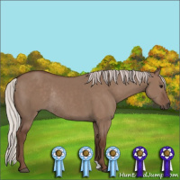 Horse Color:Silver Grullo Rabicano