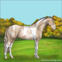 Horse Color:Chocolate Palomino Pearl Tobiano Frame  and Chocolate Palomino Pearl Tobiano 