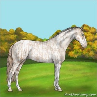 Horse Color:Chocolate Palomino Pearl Tobiano Frame Appaloosa  and Smoky Black Pearl Tobiano Frame Appaloosa 