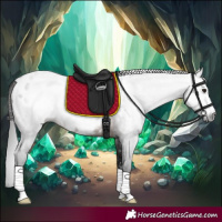 Horse Color:Gray Brown Sabino Appaloosa 